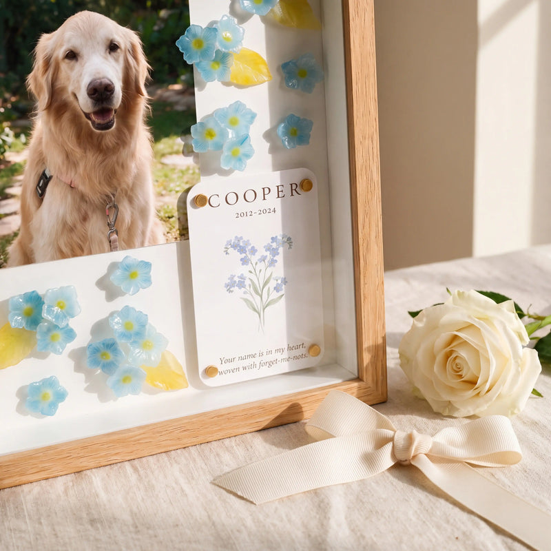 Pet Memorial Gift Ideas That Feel Personal, Not Generic