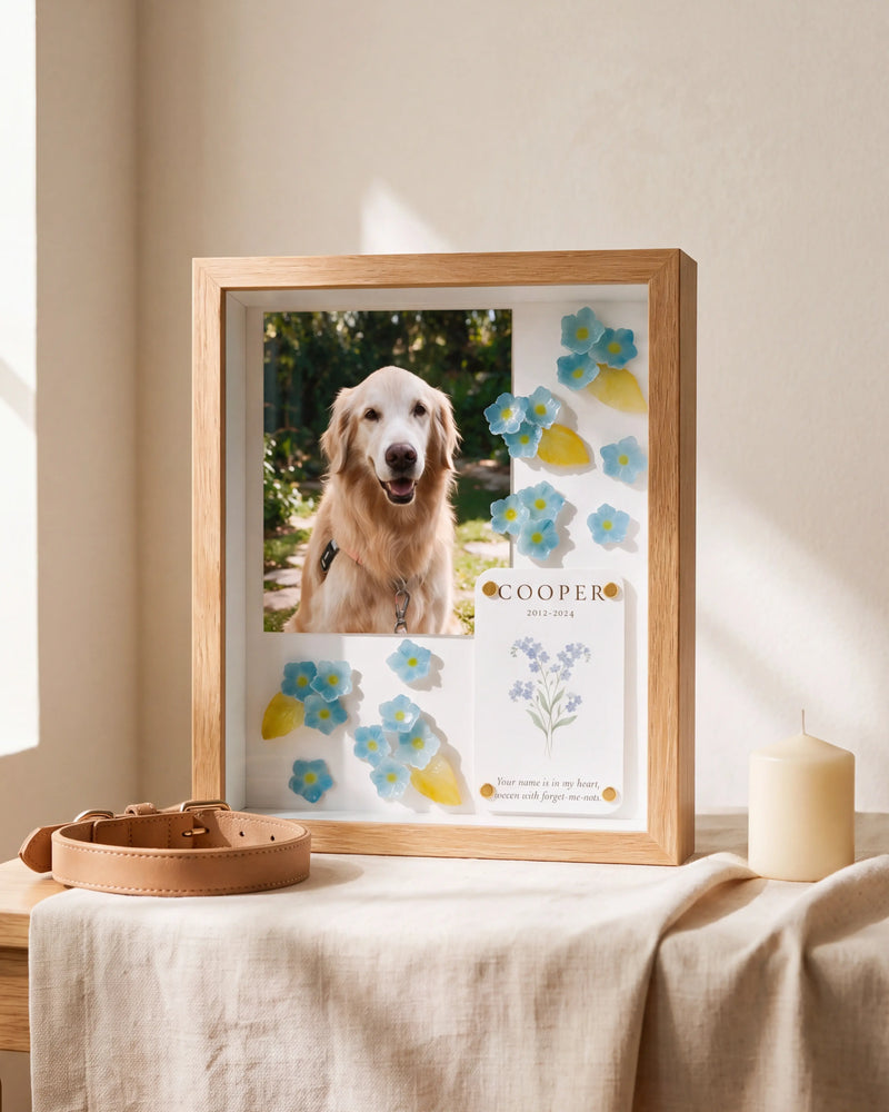 How to Create a Meaningful Pet Memorial at Home