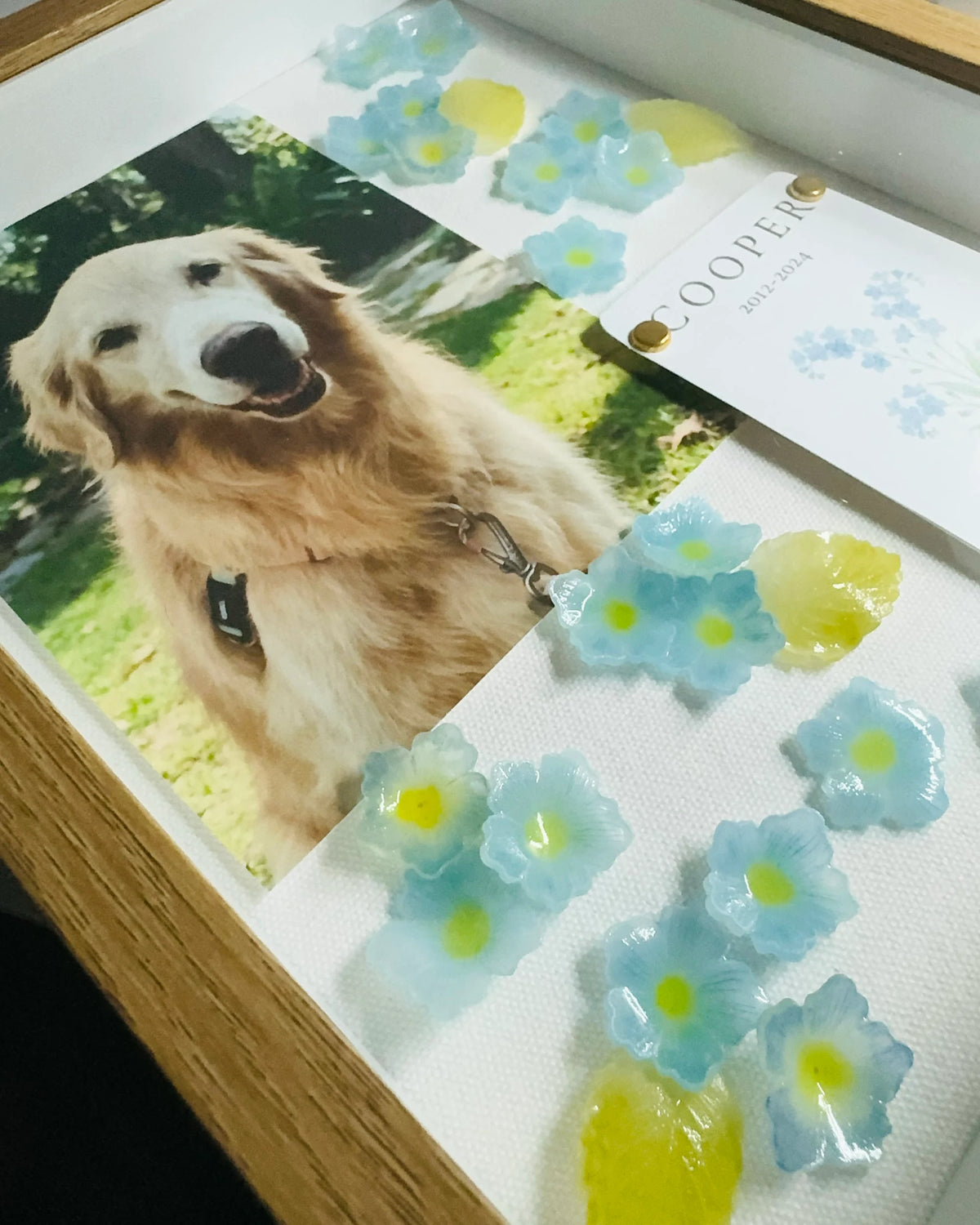Pet photograph, handmade flowers, and personalized memorial card arranged inside a wooden shadow box