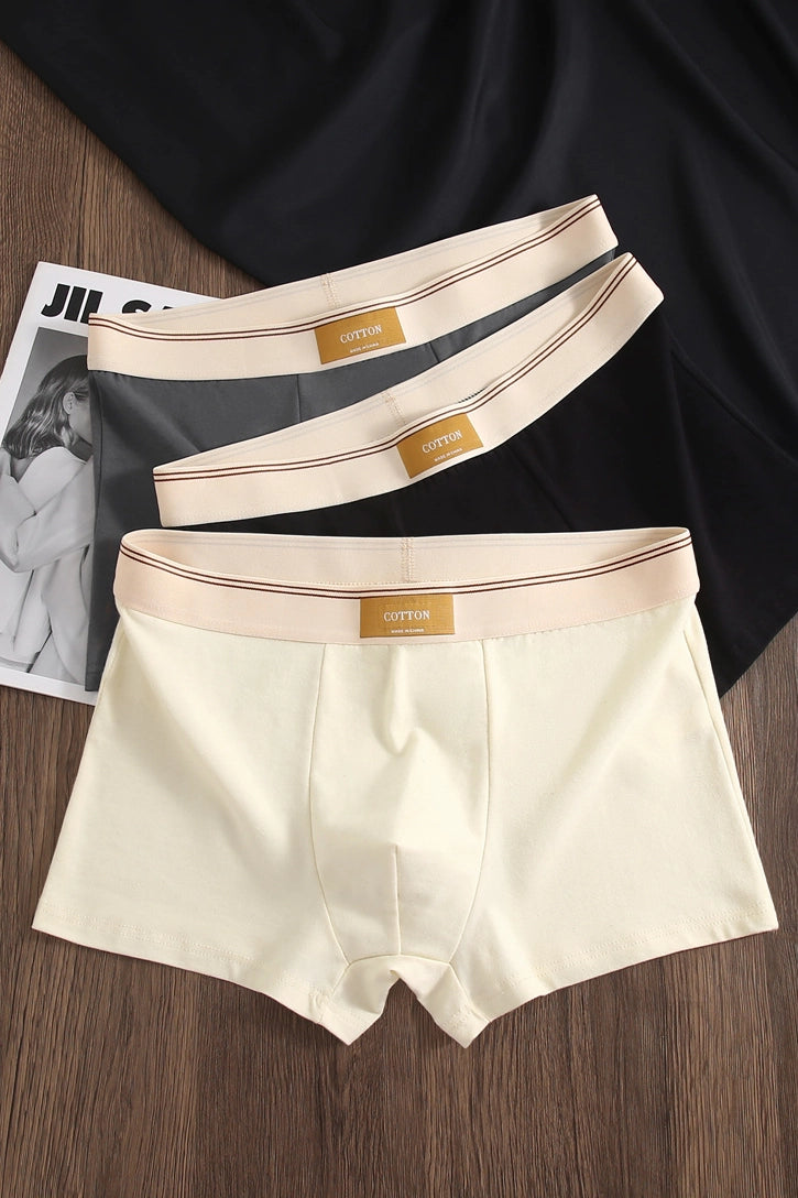 Men’s Cotton Antibacterial 4" Boxers Briefs (4-Pack)