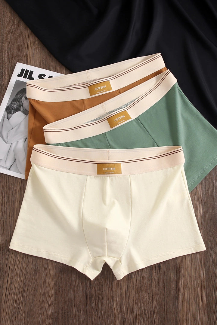 Men’s Cotton Antibacterial 4" Boxers Briefs (4-Pack)