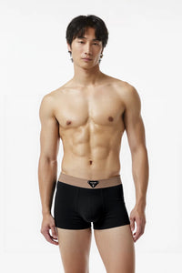 Men’s Ice-Silk Sport 4" Boxer Briefs (4-Pack)