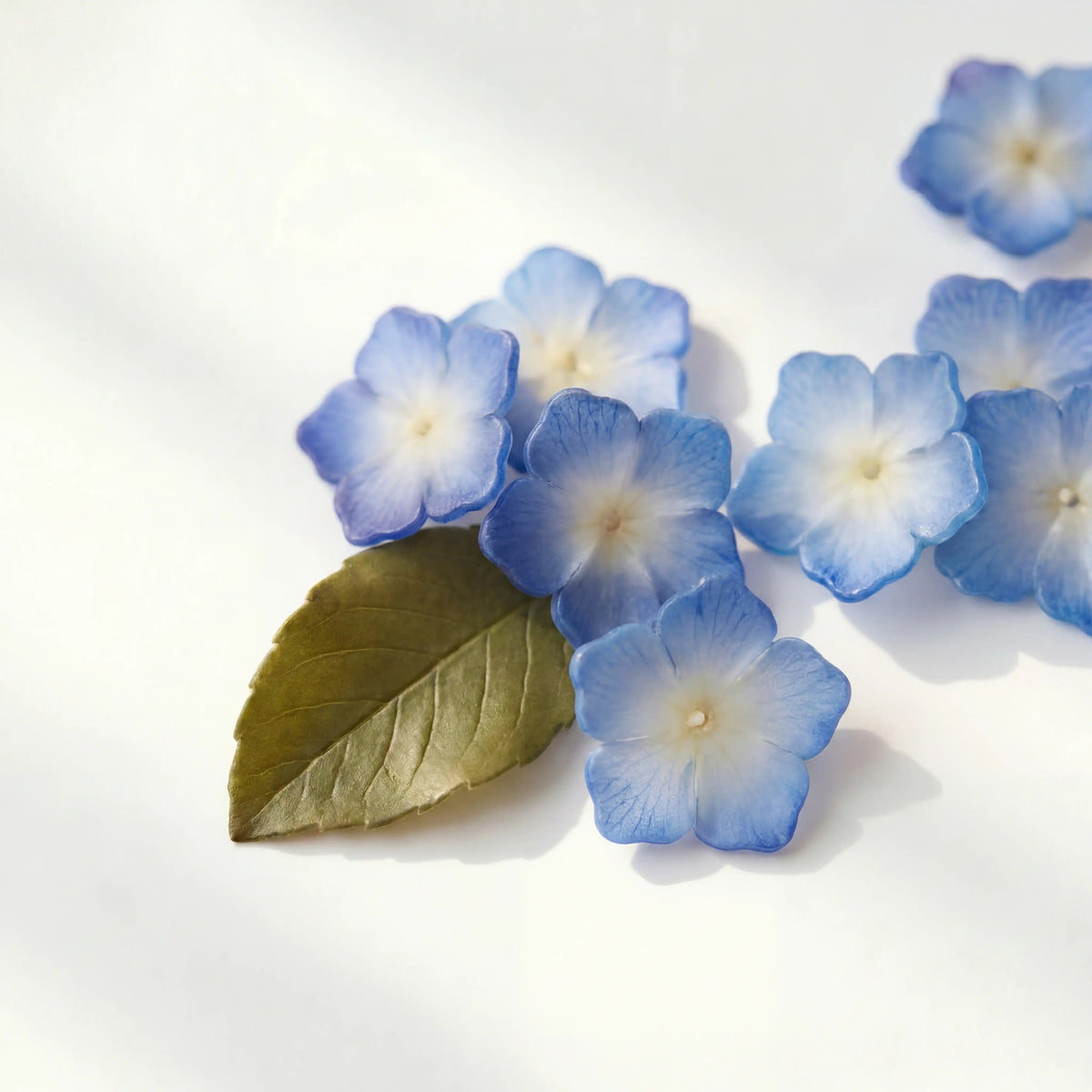 Forever in Bloom Pet Memorial Shadow Box