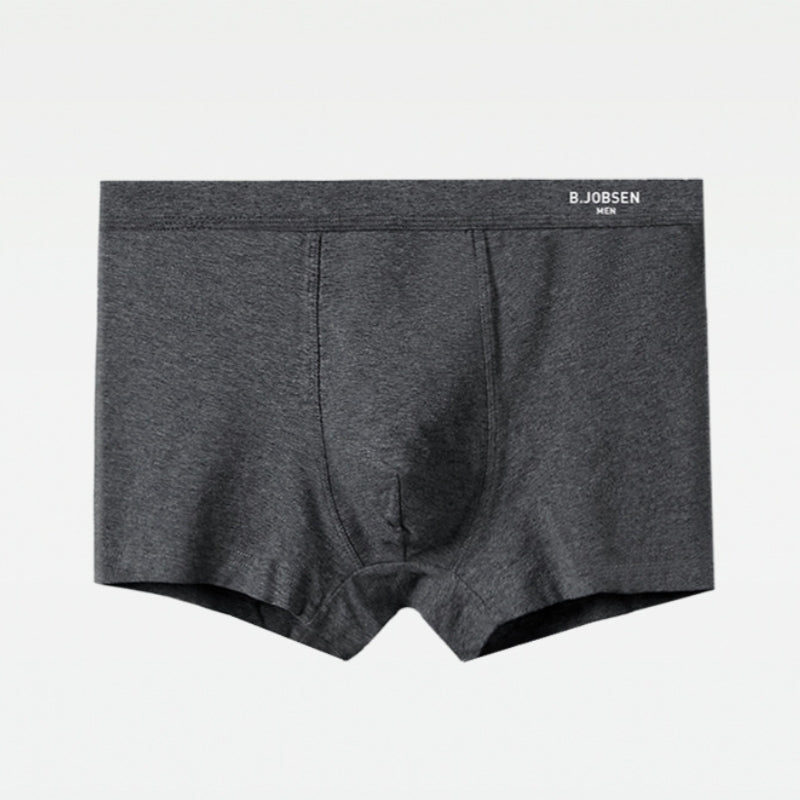 Men’s Antibacterial Cotton Boxer Briefs