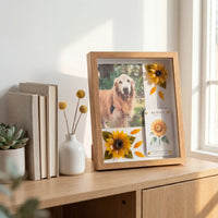 Sunny Soul Pet Memorial Shadow Box