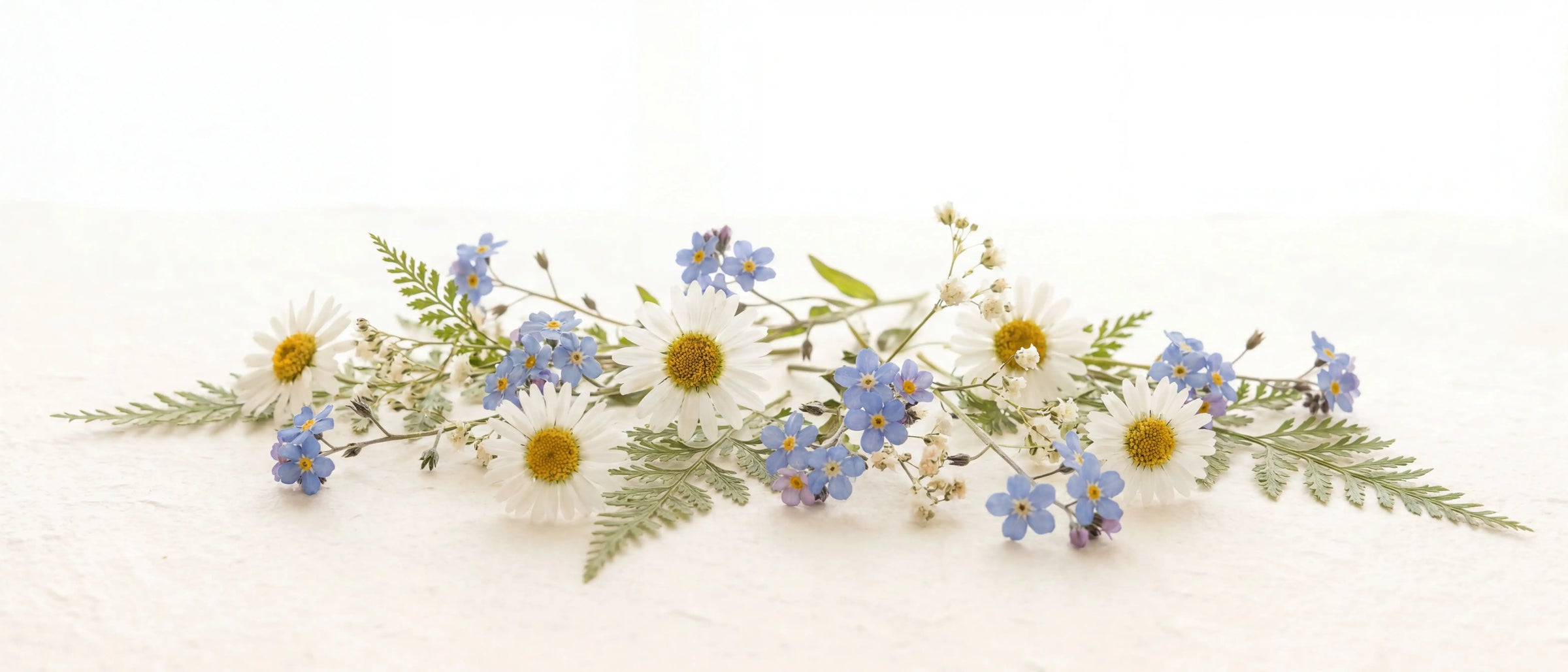 Forget-me-nots and white daisies arranged for the YP Pets flower meaning guide