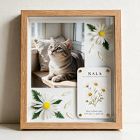 A Joy That Needs No Reason Pet Celebration Shadow Box