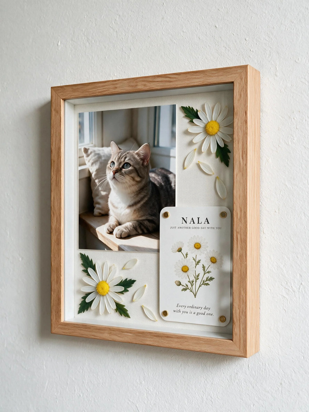 Personalized daisy pet celebration shadow box prepared as a pet lover gift