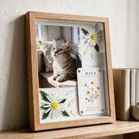 A Joy That Needs No Reason Pet Celebration Shadow Box