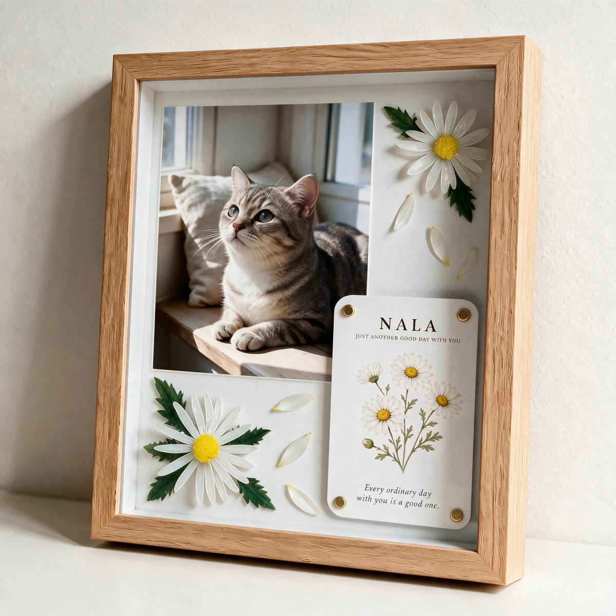A Joy That Needs No Reason Pet Celebration Shadow Box