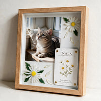A Joy That Needs No Reason Pet Celebration Shadow Box