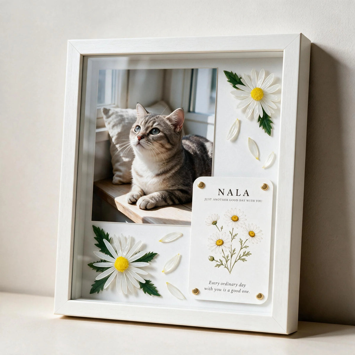 A Joy That Needs No Reason Pet Celebration Shadow Box