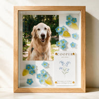 Personalized forget-me-not pet memorial shadow box with a golden retriever photograph in a natural wood frame