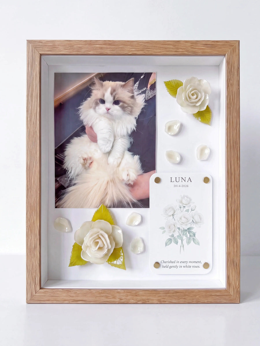 8x10 shadow box frame used for the Gentle Goodbye pet keepsake