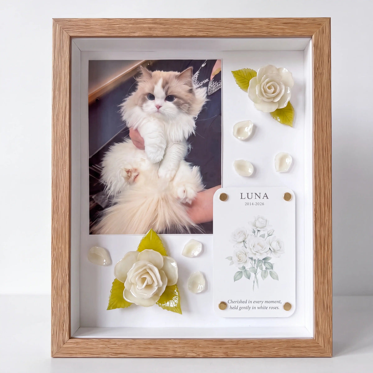 Gentle Goodbye pet memorial shadow box with a cat photo, personalized card, and handmade white roses