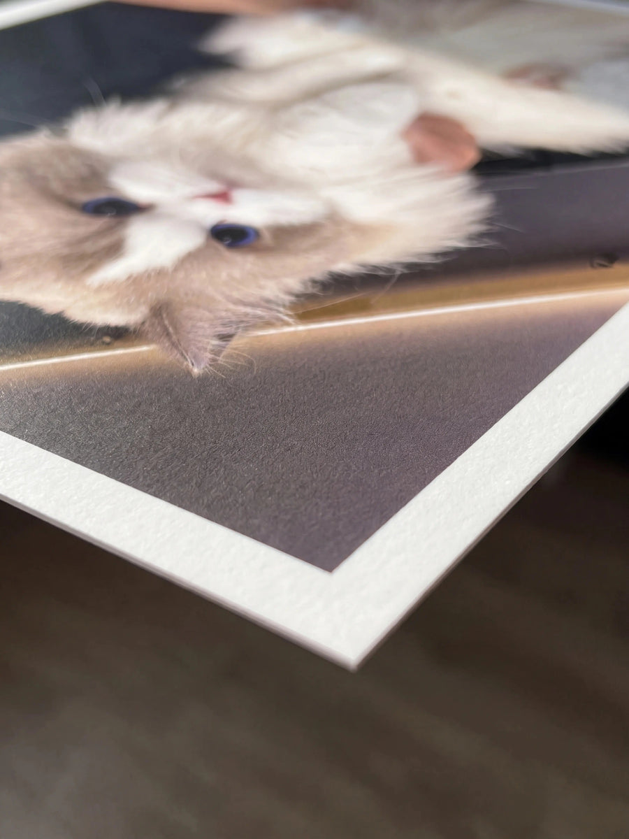 Pet photo included in the Gentle Goodbye shadow box