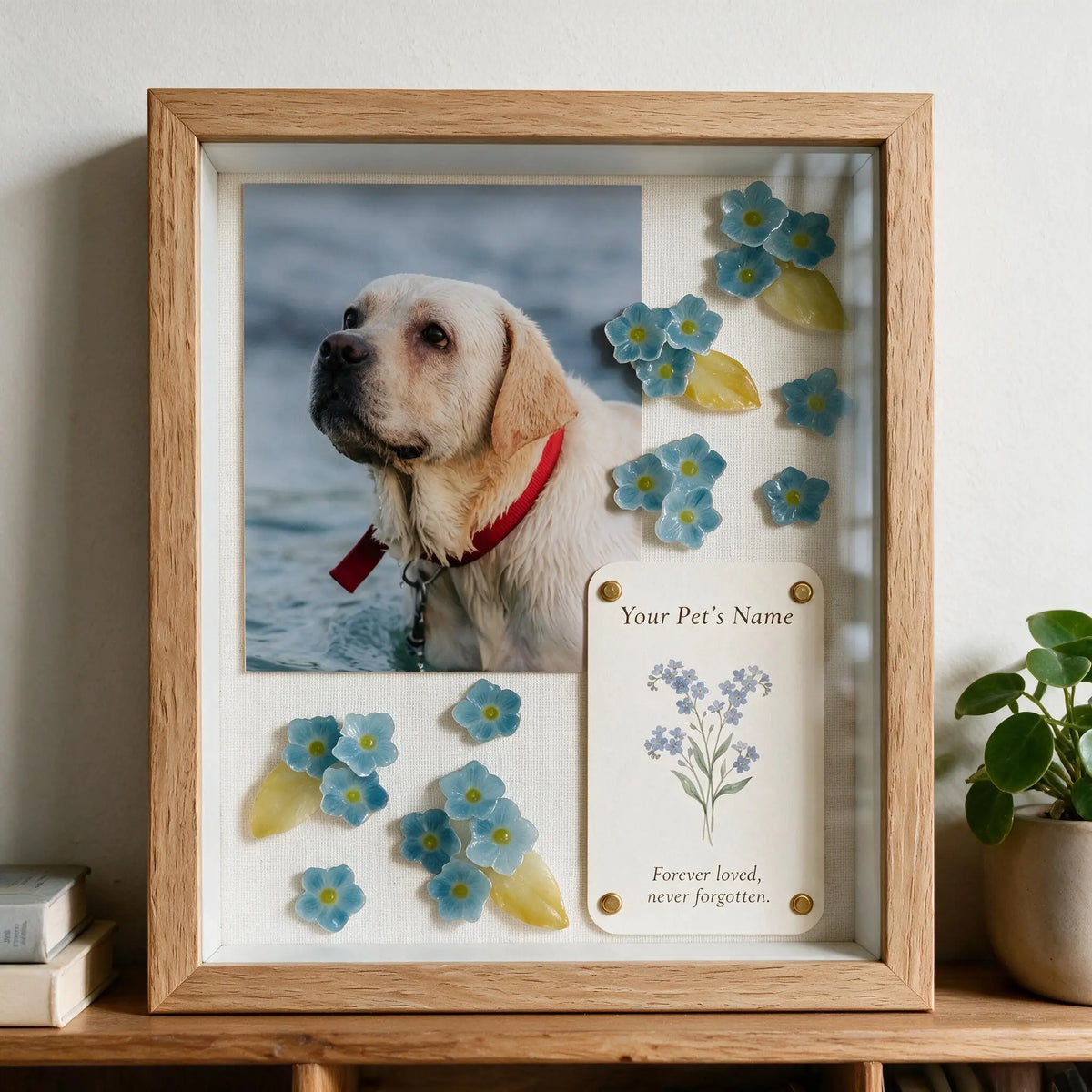 Personalized forget-me-not pet memorial shadow box with a golden dog photograph displayed on a wooden shelf