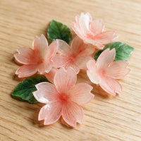 Cherry Blossom Pet Celebration Shadow Box
