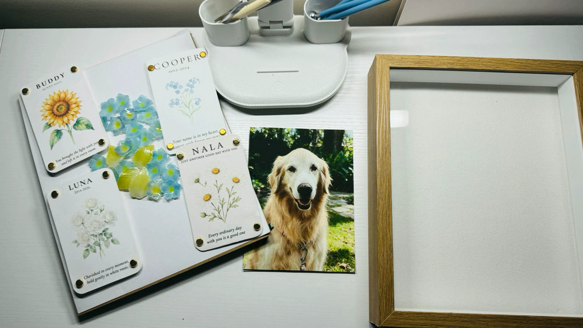 Top-down view of a handmade pet keepsake workspace with personalized cards, handmade flowers, a pet photograph, tools, and an empty wooden shadow box