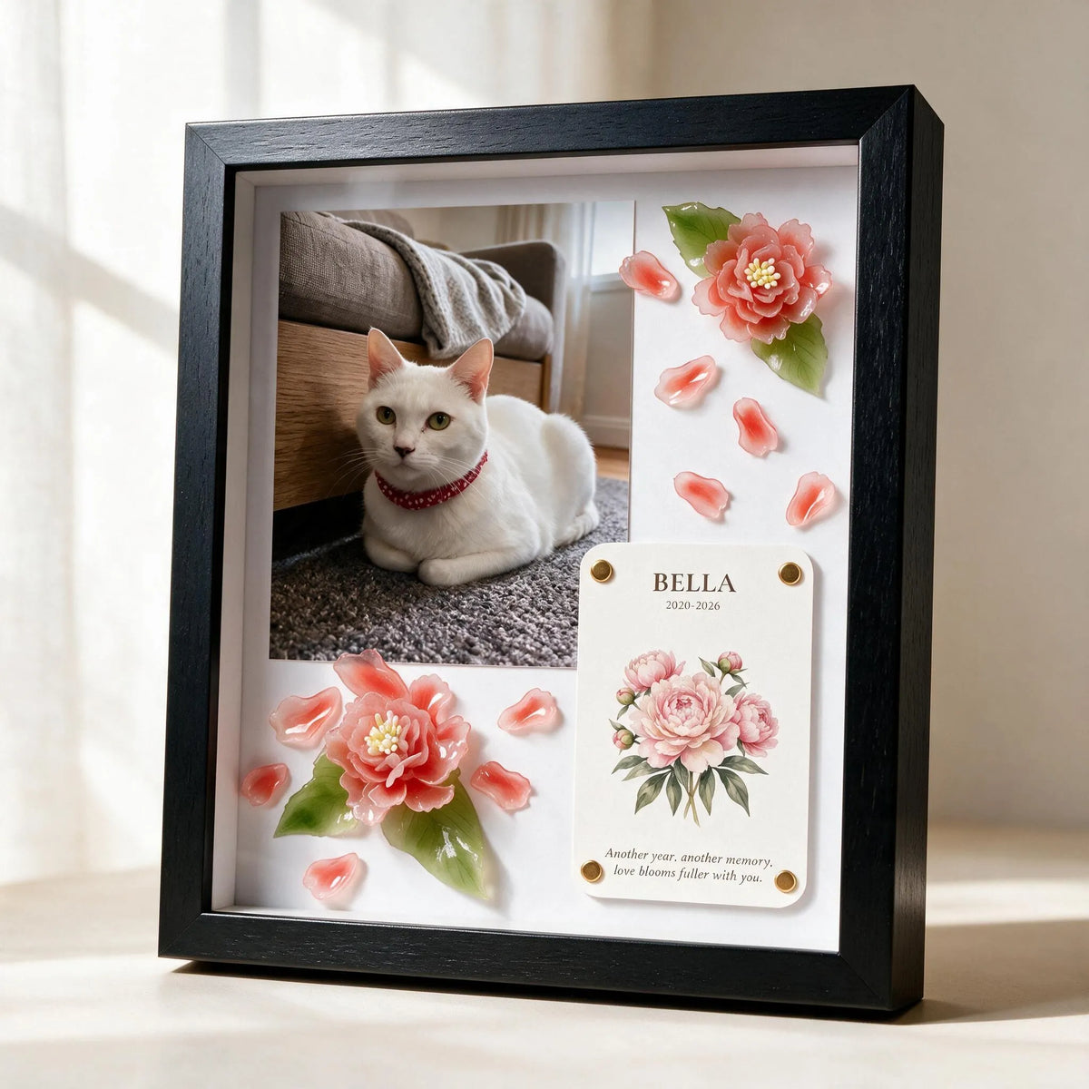 Another Year of You pet celebration shadow box in a sleek black frame