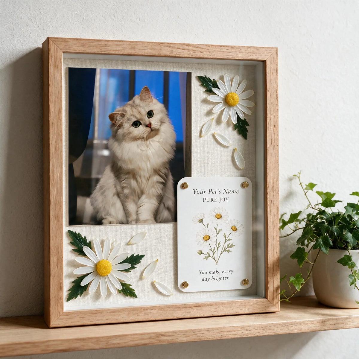 Personalized cat keepsake shadow box with custom fluffy white cat photo and handmade white daisies