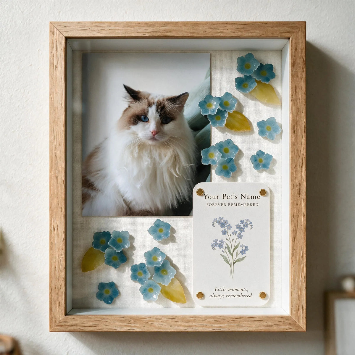 Personalized cat memorial shadow box with custom Ragdoll cat photo and handmade blue forget-me-not flowers