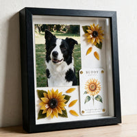 Sunny Soul pet memorial shadow box in a sleek black frame