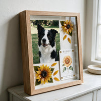 Natural wood Sunny Soul pet memorial shadow box displayed at home