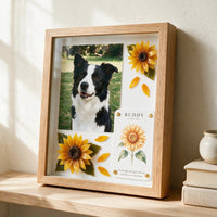Sunny Soul Pet Memorial Shadow Box