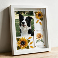 Sunny Soul pet memorial shadow box in a solid white frame