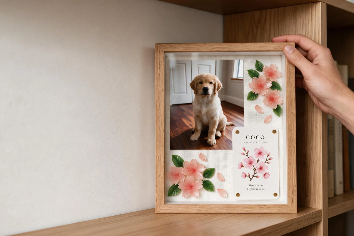 Hands placing a personalized YP Pets pet keepsake shadow box on a home shelf.