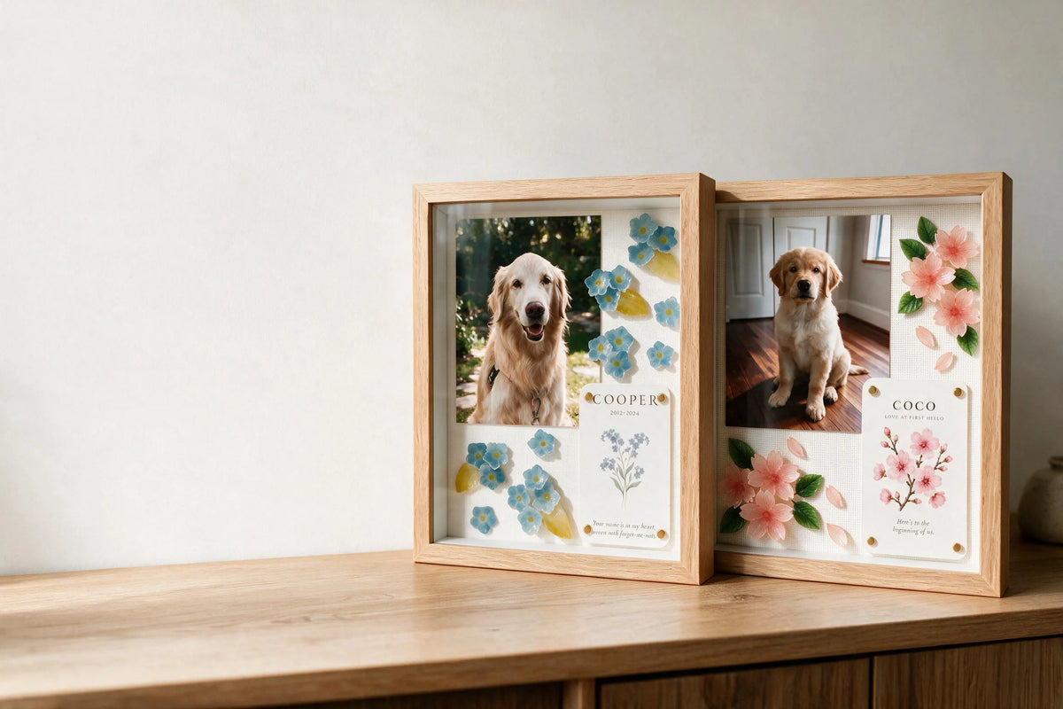 YP Pets memorial and celebration shadow boxes with personalized pet photos and handmade flowers.