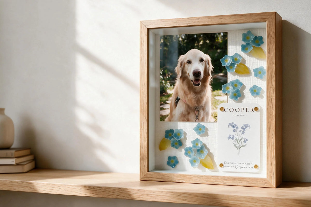 Personalized YP Pets memorial shadow box with a golden retriever photo displayed on a home shelf.